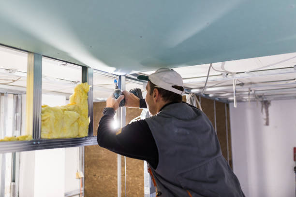 Types of Insulation We Offer in Moorhead, MS