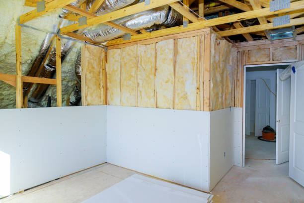 Best DIY Insulation Kits and Guidance in Moorhead, MS