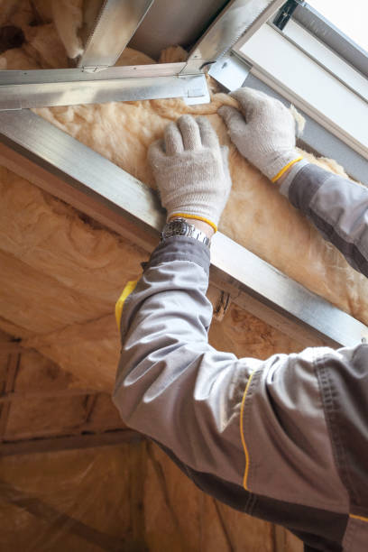 Best Residential Insulation in Moorhead, MS