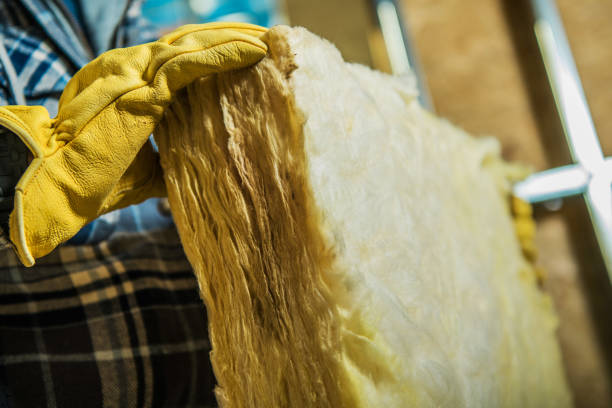 Best Specialized Insulation Services in Moorhead, MS
