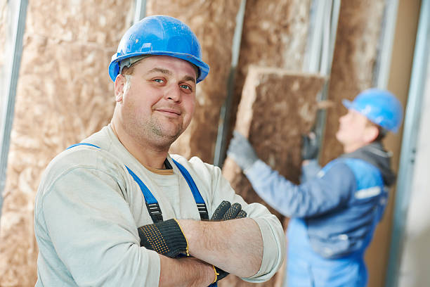 Best Eco-Friendly Insulation in Moorhead, MS