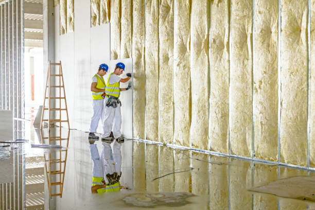 Best DIY Insulation Kits and Guidance in Moorhead, MS